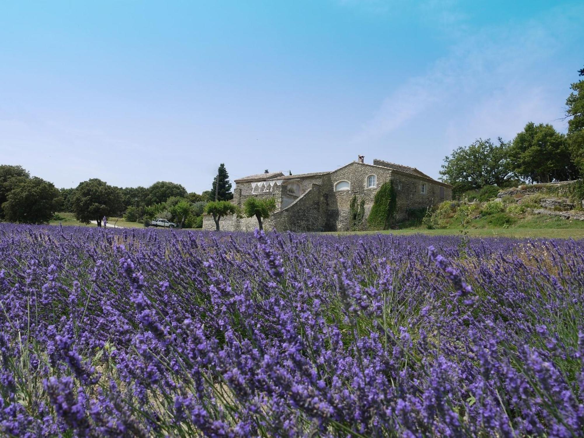 耶布拉夏斯农场酒店 Réauville 外观 照片