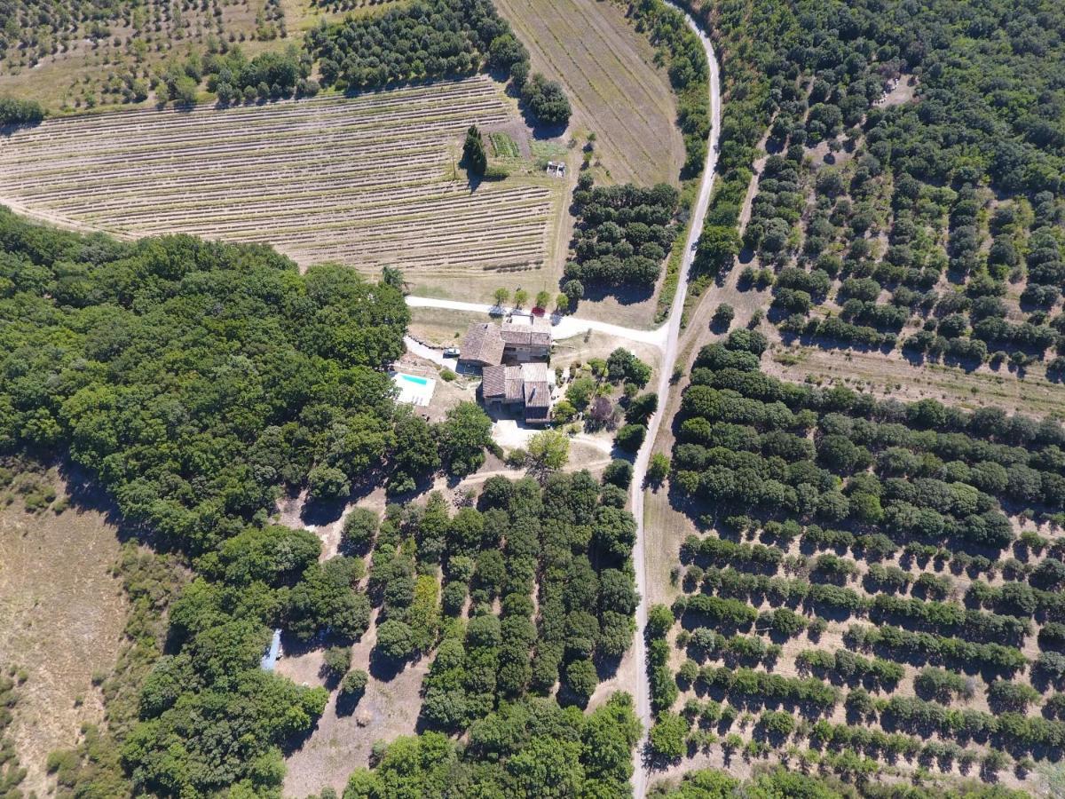 耶布拉夏斯农场酒店 Réauville 外观 照片